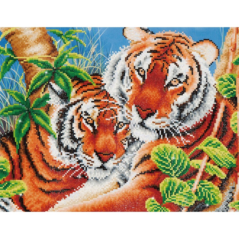 Tender Tigers Tender Tigers