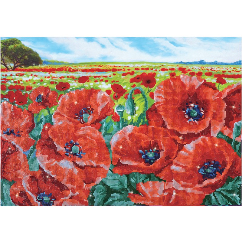 Red Poppy Field Red Poppy Field