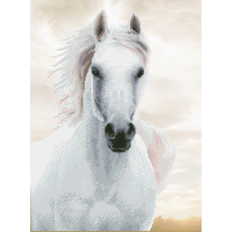 Imperial Stallion Imperial Stallion