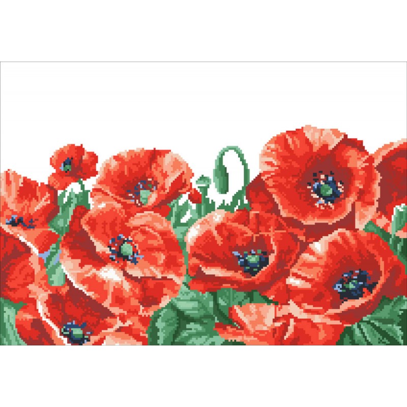 Red Poppy Field Red Poppy Field