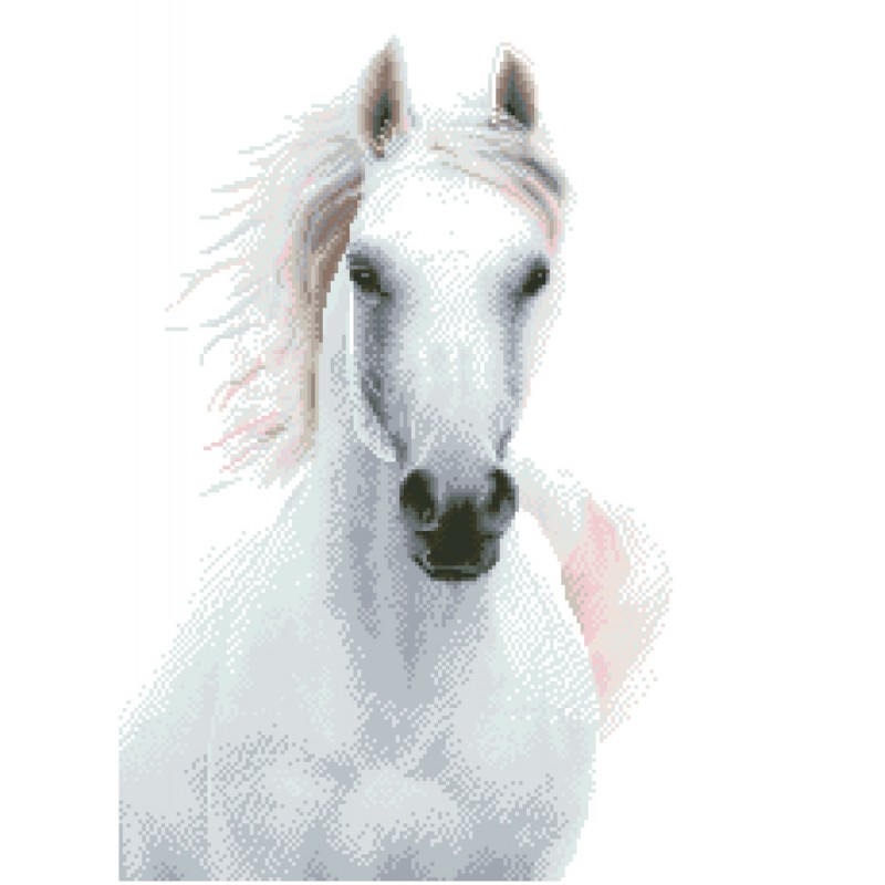 Imperial Stallion Imperial Stallion