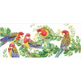 Eastern Rosella Gathering