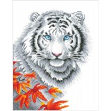 White Tiger In Autumn